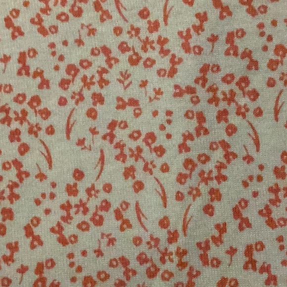 Carter's Blue and Pink Bodysuits Set for Infants - Picture 5 of 10